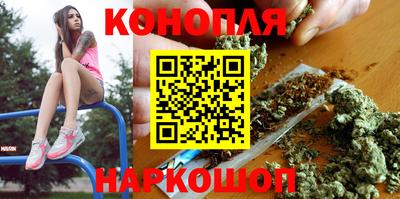 Альфа ПВП Бердск