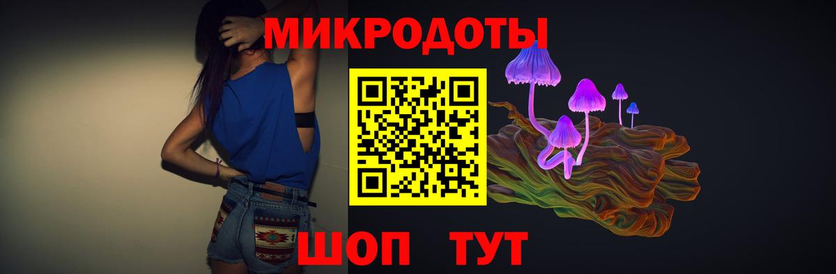 Псилоцибиновые грибы Psilocybine cubensis Новочеркасск